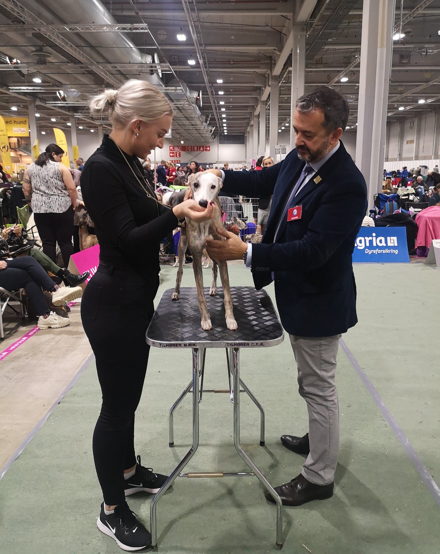 77104264_3126536830694814_56576942765244416_o