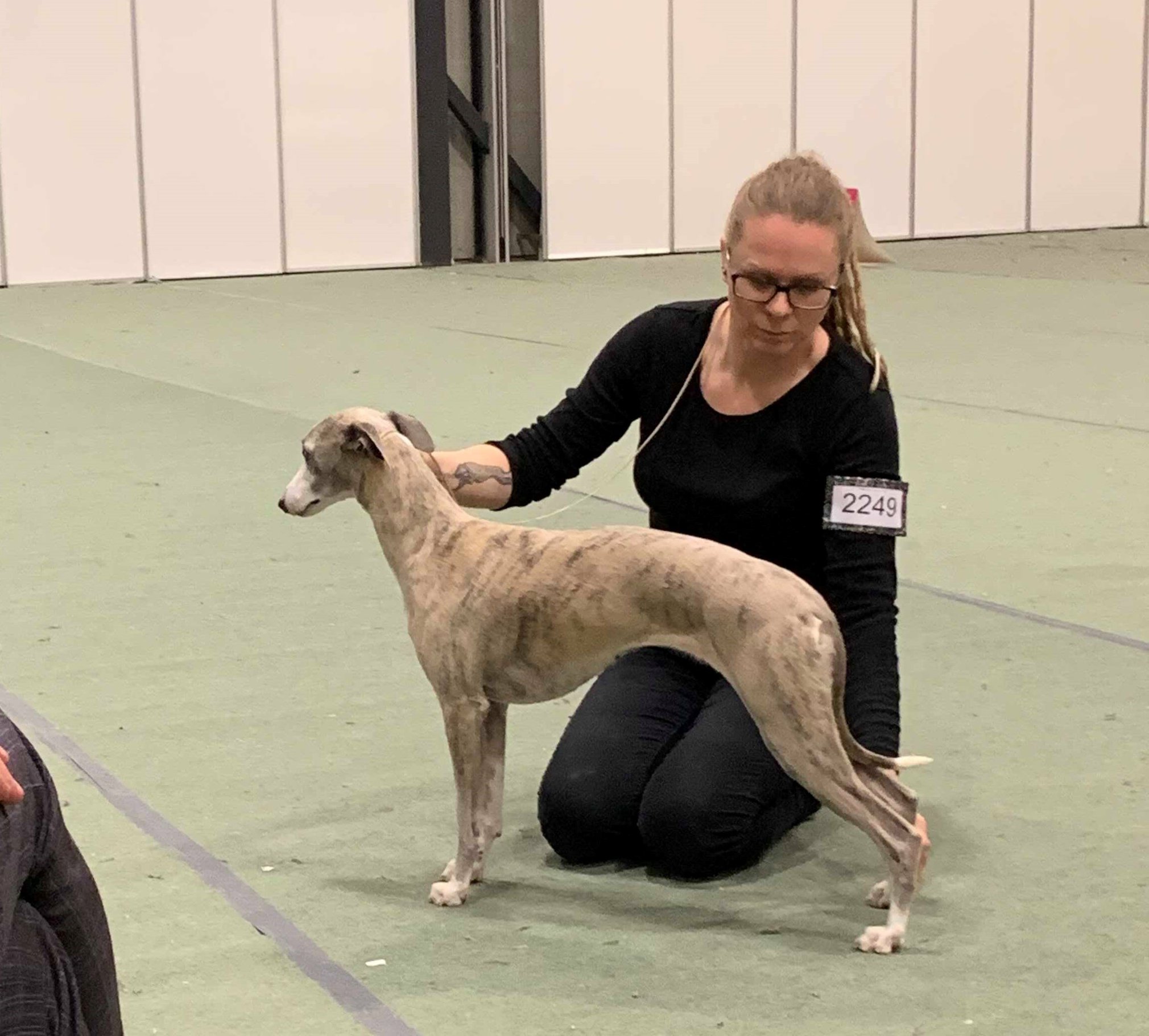 78181983_3126535830694914_8221800322150957056_o