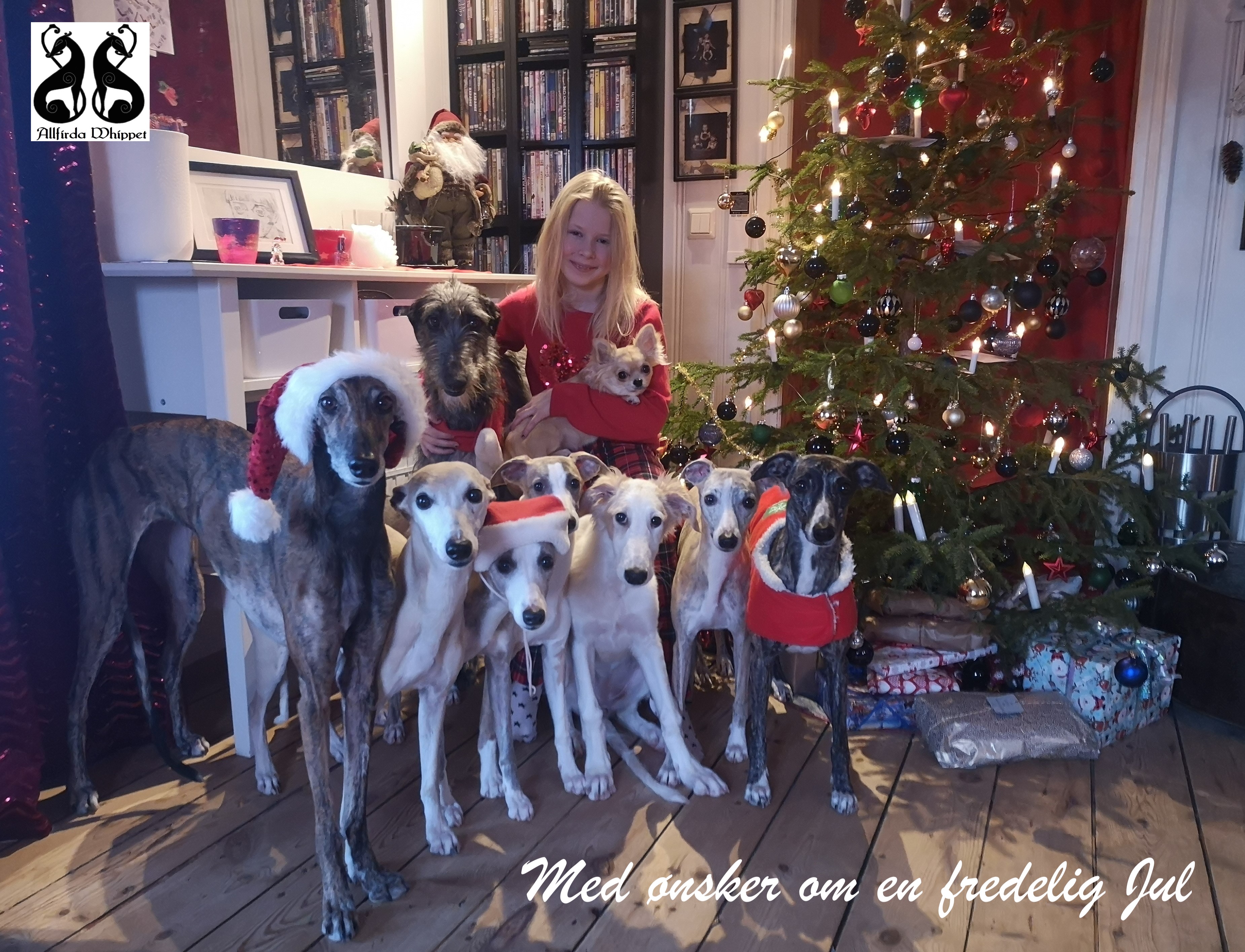 Julehilsen jula 2019