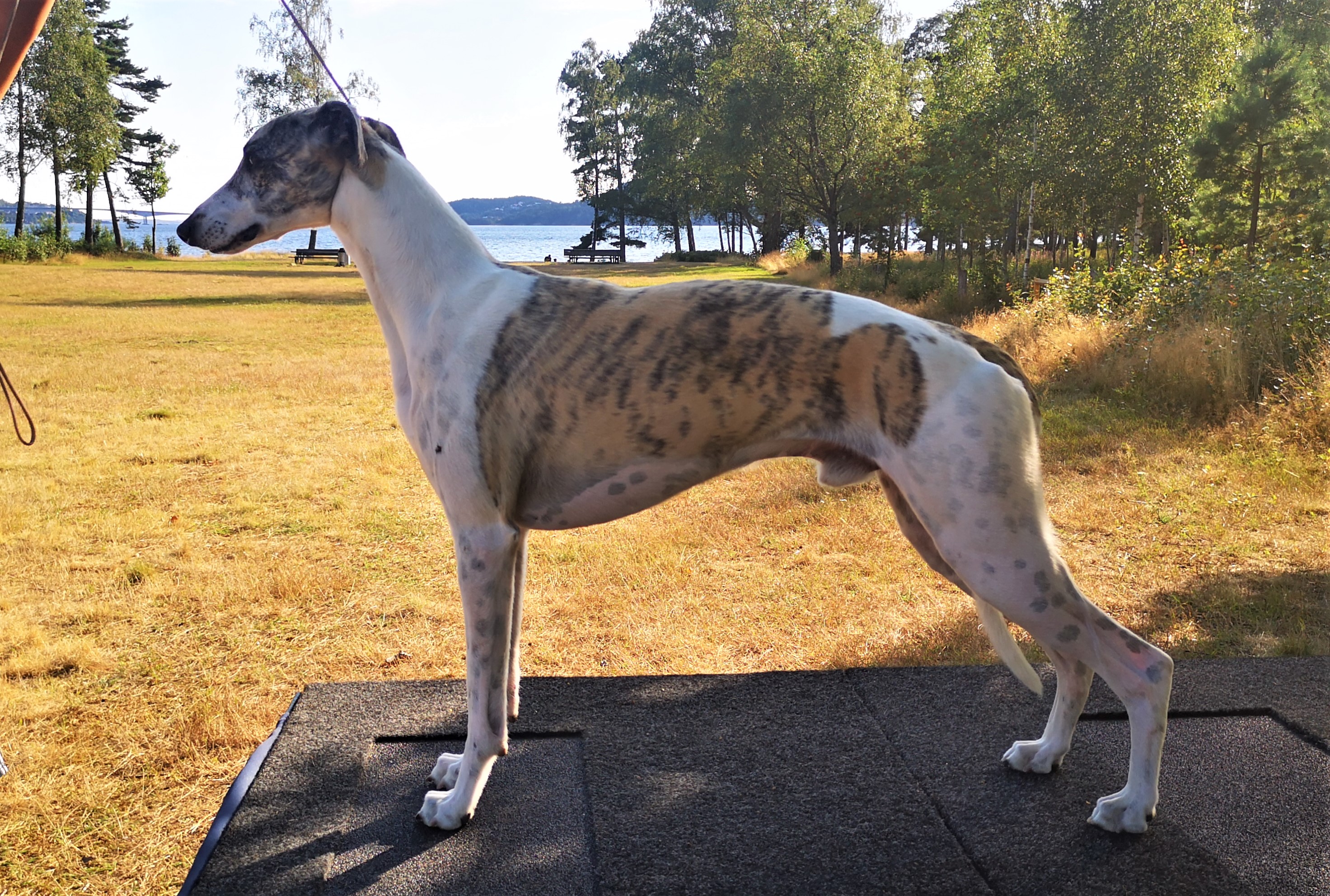 img_20210731_181814billy.web_