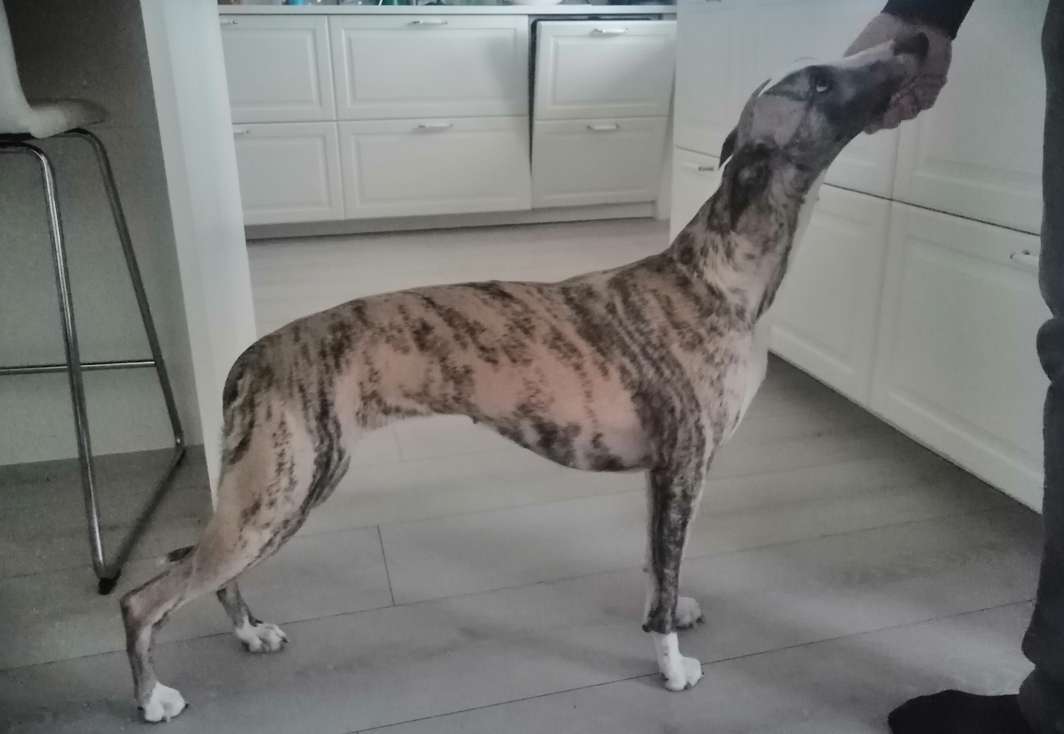 Skjermbilde 2023-03-30 kl. 15.23.53