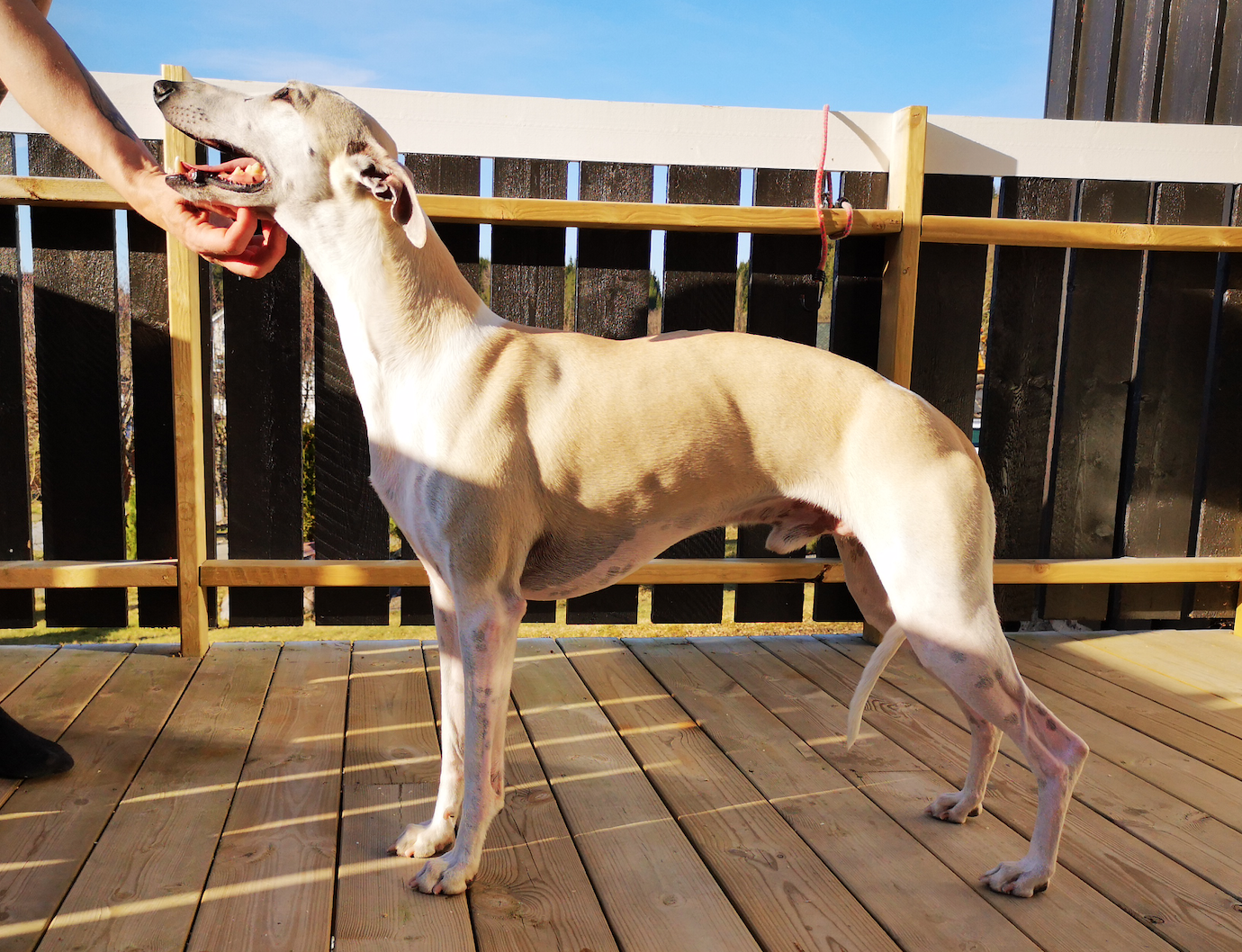 Skjermbilde 2023-03-30 kl. 16.43.40